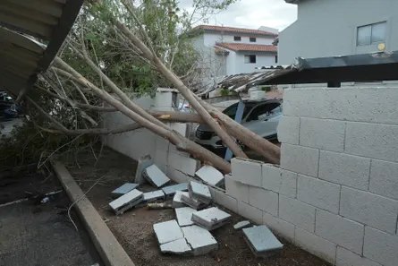 Toppled tree damages stone wall in parking lot outside apartment complex