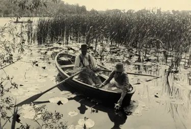 Two people gather water lilies from a rowing boat