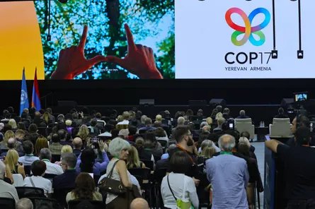 Lots of people in a large hall with a big screen at the front saying Cop17