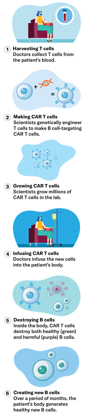A graphic showing the process of CAR T therapy