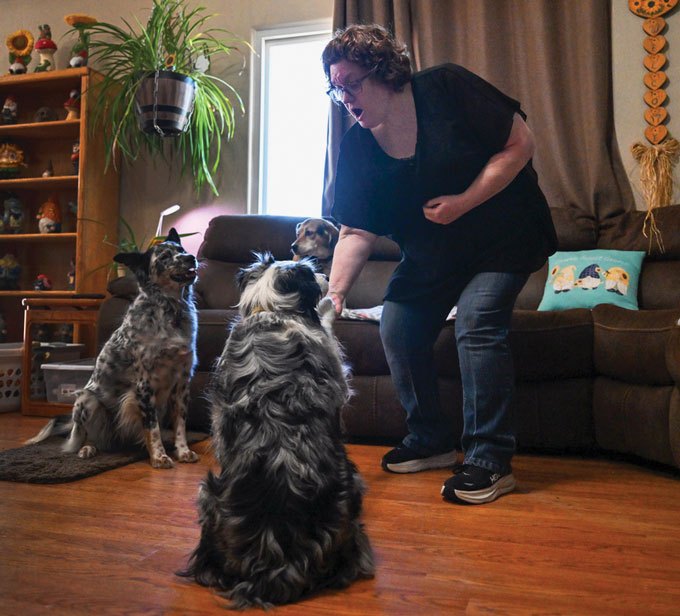 A person with short, curly brown hair and glasses bends down to interact with three dogs in a living room. Two dogs sit on the wooden floor while a third rests on the couch behind them.