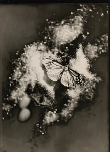 A butterfly with patterned wings rests amid sparkling scattered powder, with another chrysalis nearby