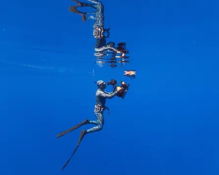 A diver films a loggerhead turtle resting at the surface of the water