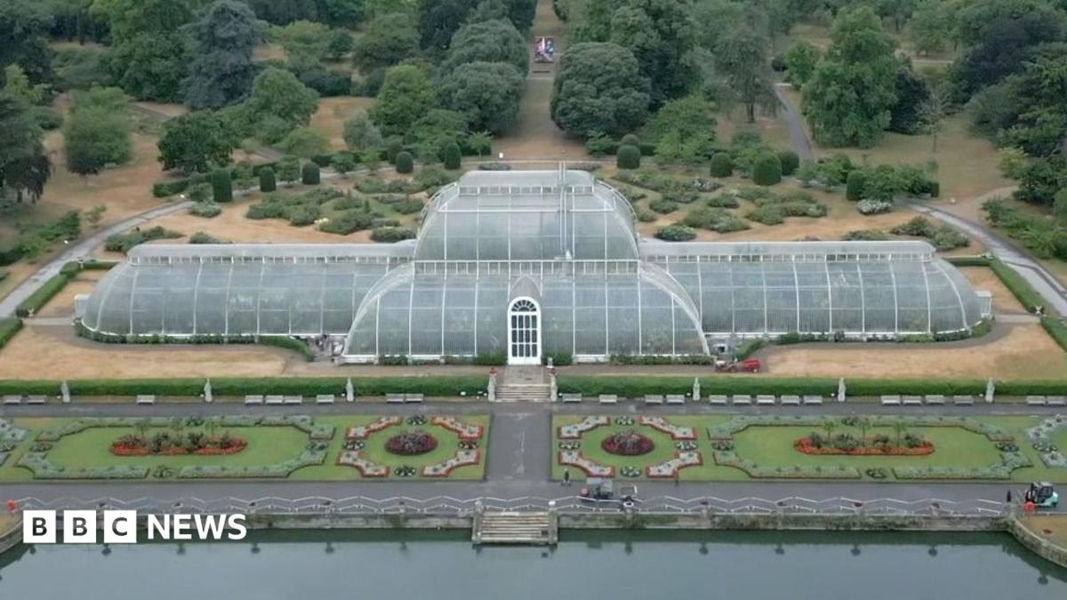 How to move 1,300 plants for Kew’s Palm House mega makeover