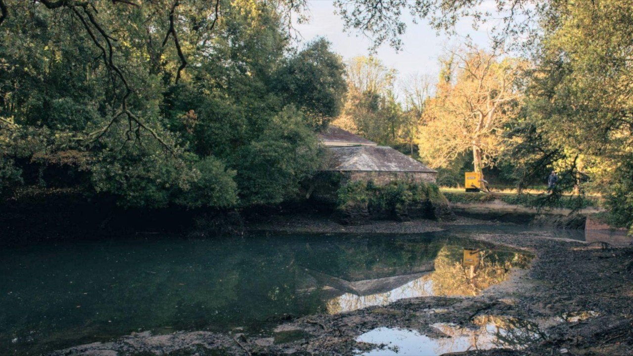 A pond shaded by trees. There is water and around it muddy land. In the background is a small house. The sky is grey.
