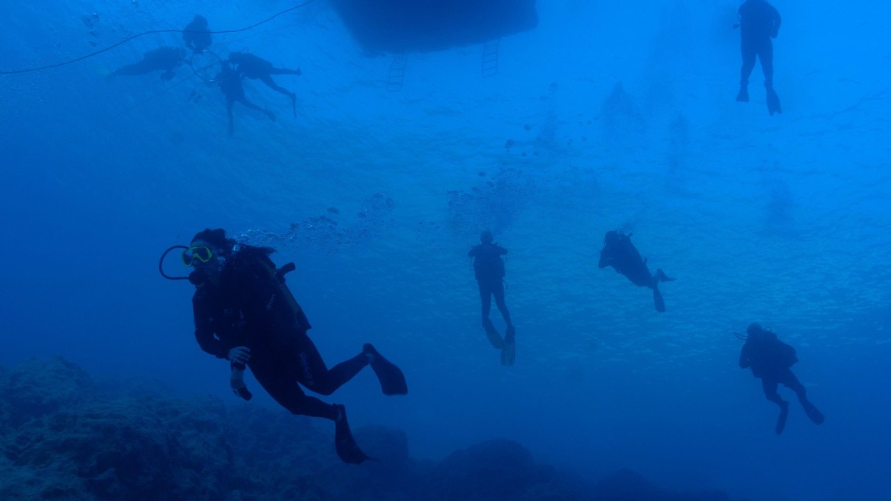 The picture is taken underwater and is very blue. It shows five divers starting to swim down to the wreck. Some are closer to the camera than others. One, on the left of the photo, is quite close to the camera and you can see the trail of bubbles going up to the surface from his air tank. The shadow of the end of the dive boat can be seen in the centre and at the very top of the photo. To the left are a group of 4 divers who are on their way back up to the surface from the wreck. They are holdin