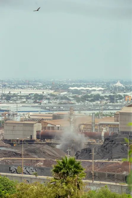 a plant is seen emitting plumes of smoke as a bird flies overhead