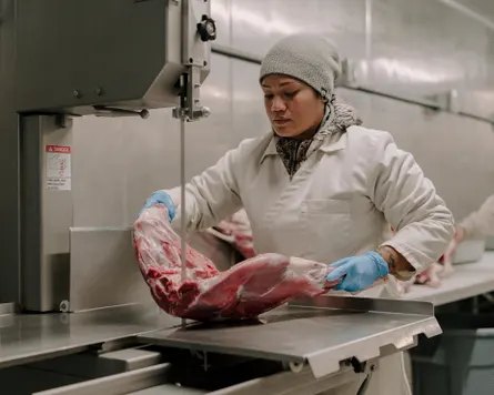 A woman cuts meat on an industrial saw.