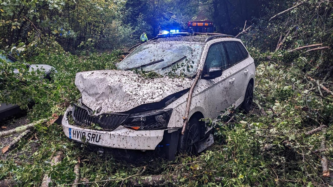 Scene in Horsham this morning after a tree fell onto car. Luckily the tree missed driver and he walked away unharmed. Emergency services were called and arrived quickly. A local farmer came along and chopped up the tree within half an hour. Picture date22nd October 2026 - Permission to use in news reporting. Credit Russ Slater